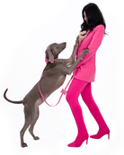 Metapink Bow Dog Collar — Paris Hilton × Moshiqa | Removable Bow, Fits All Sizes