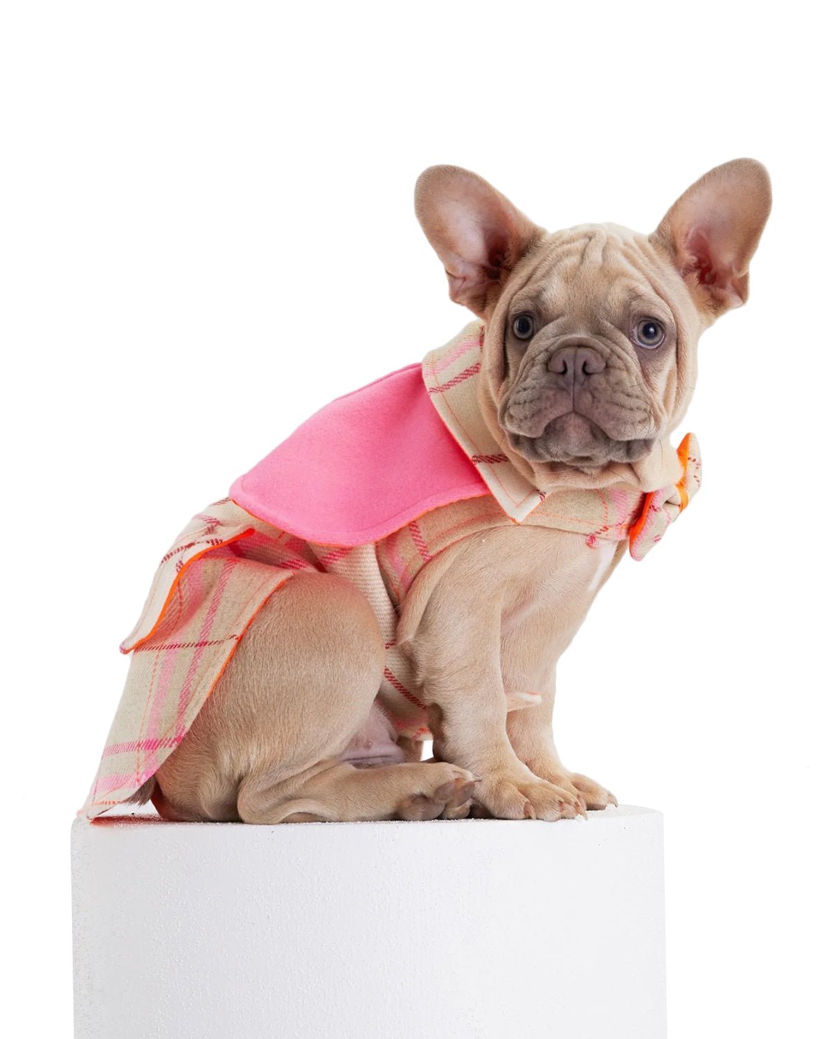 Tartan Dog Coat