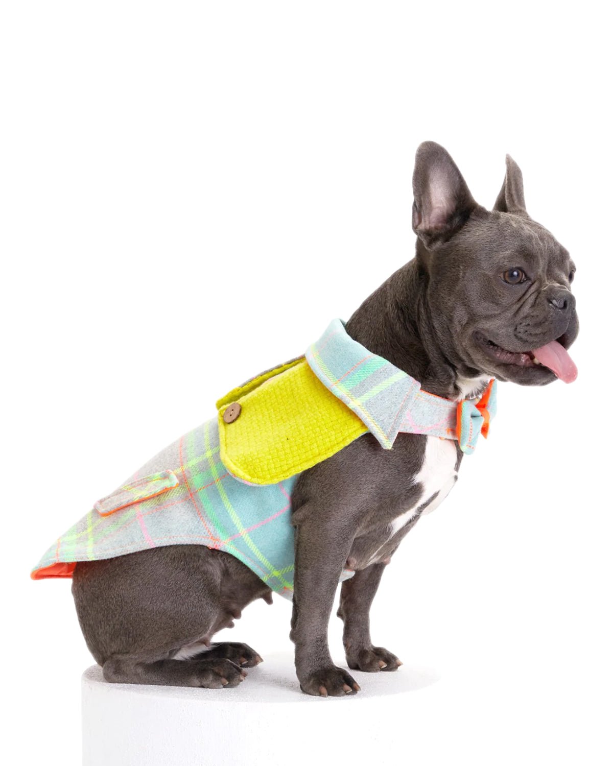 Tartan Dog Coat