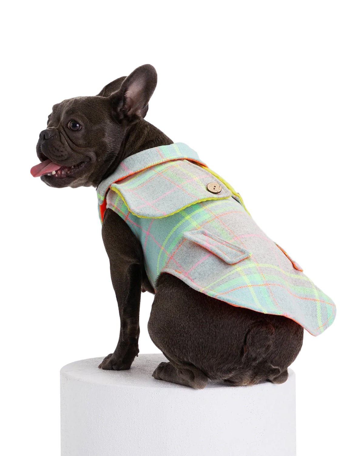 Tartan Dog Coat