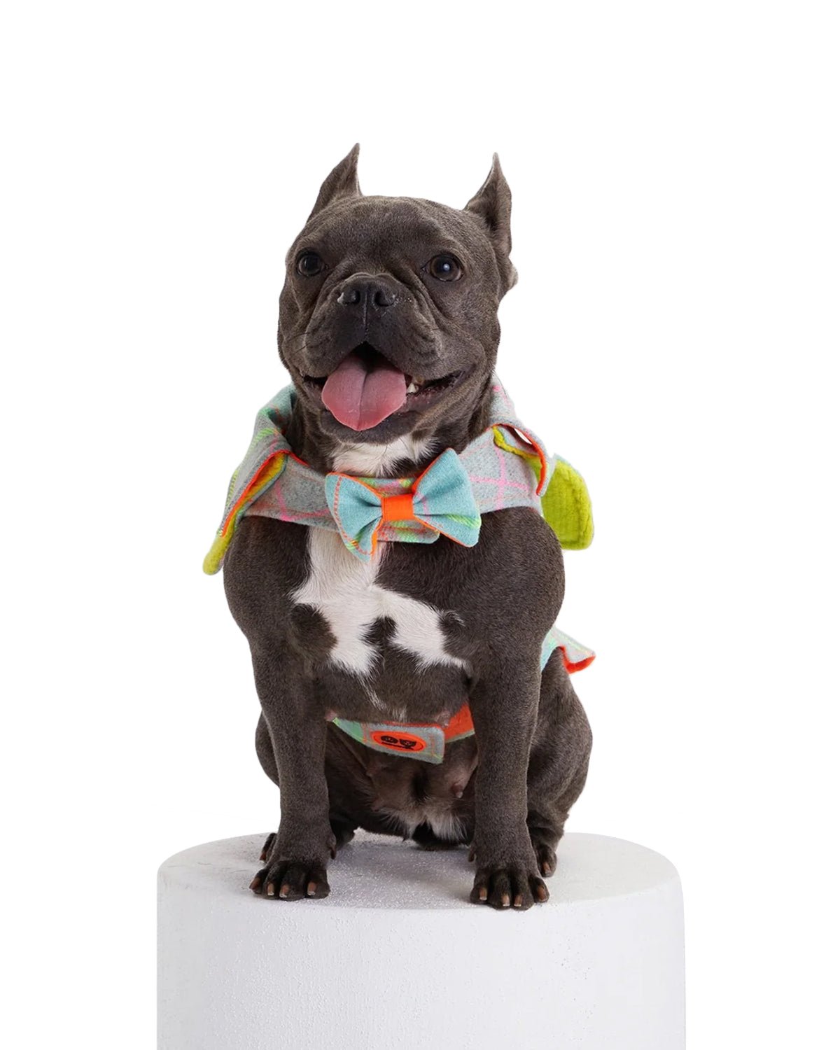 Tartan Dog Coat