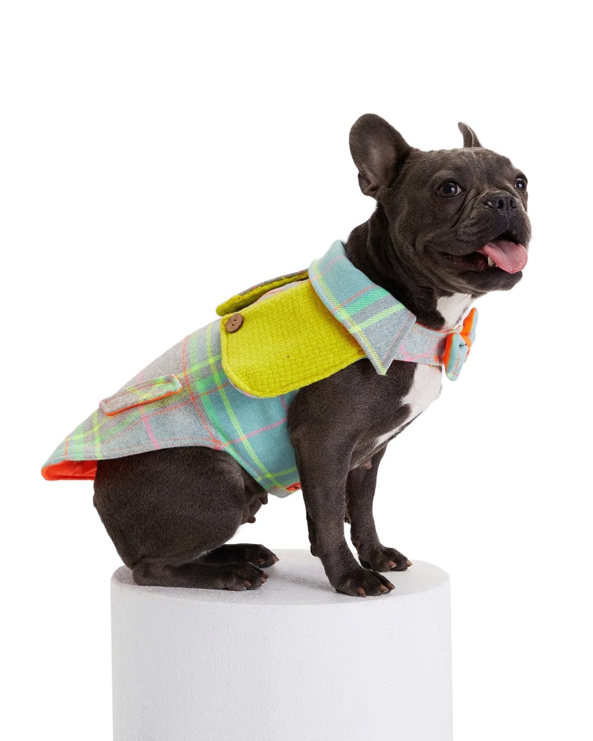 Tartan Dog Coat