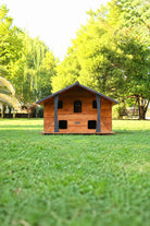 Ürün Görseli