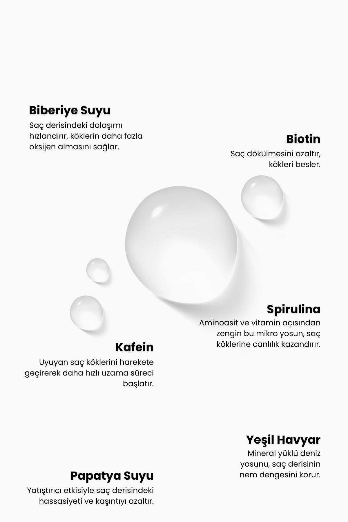 Matsu-Scalpify Saç Toniği | Dökülme Karşıtı & Hacim Destekleyici Biberiye + Spirulina + Vitamin Kompleksi-Saç Spreyi-3-Milagron.com