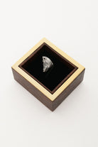 Melinka Accessories-Wild Boar Gümüş Broş 03-Broş-5-Milagron.com