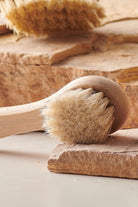 Melinka Co.-At Kılı Yüz Fırçası-Cilt Bakım Aletleri-3-Milagron.com