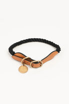 Mons Bons-Classy-Yoko Boyun Tasması-Köpek-1-Milagron.com