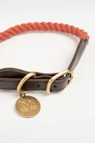 Mons Bons-Classy-Yoko Boyun Tasması-Köpek-2-Milagron.com