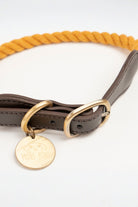 Mons Bons-Classy-Yoko Boyun Tasması-Köpek-2-Milagron.com