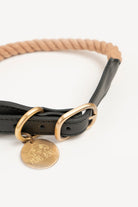 Mons Bons-Classy-Yoko Boyun Tasması-Köpek-2-Milagron.com