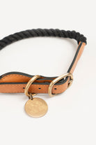 Mons Bons-Classy-Yoko Boyun Tasması-Köpek-2-Milagron.com