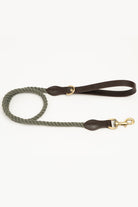 Mons Bons-Classy-Yoko Gezdirme Tasması-Köpek-1-Milagron.com