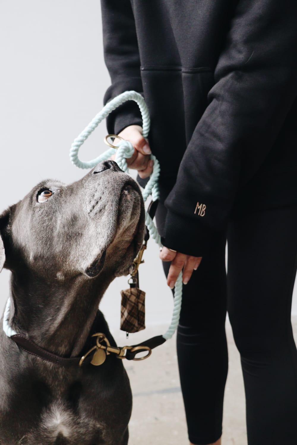 Mons Bons-Classy-Yoko Handsfree Gezdirme Tasması-Köpek-4-Milagron.com
