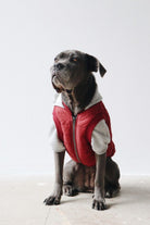 Mons Bons Puffer Mont - 0