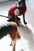 Mons Bons Puffer Mont - 5