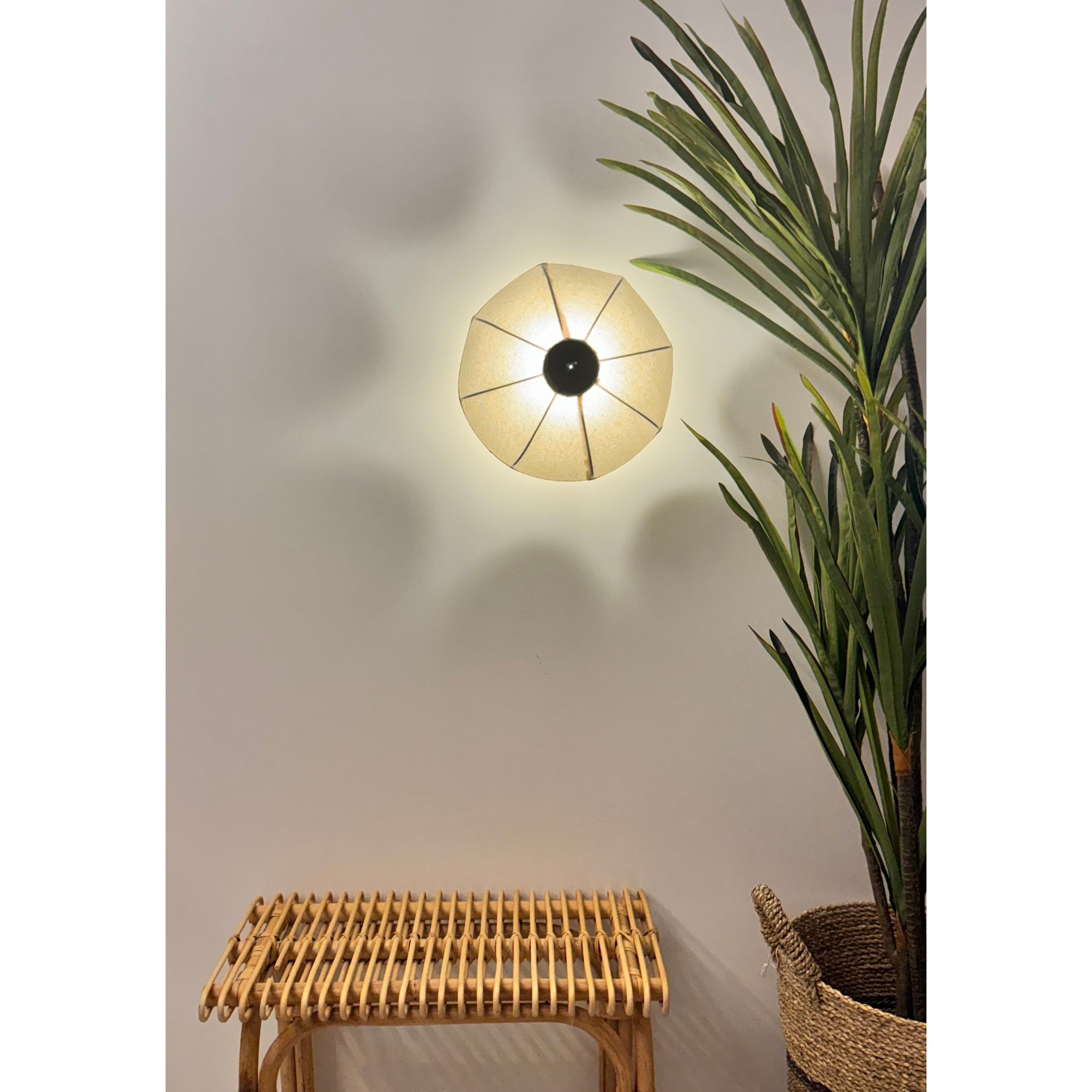 Daisy Keten Duvar Aydınlatması (30 Cm )