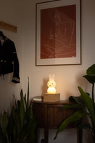 Aydınlatma, Miffy Shines