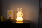 Aydınlatma, Miffy Shines
