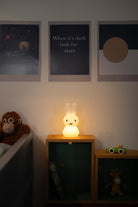 Aydınlatma, Miffy Shines