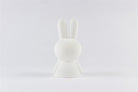 Mini Miffy Lamba