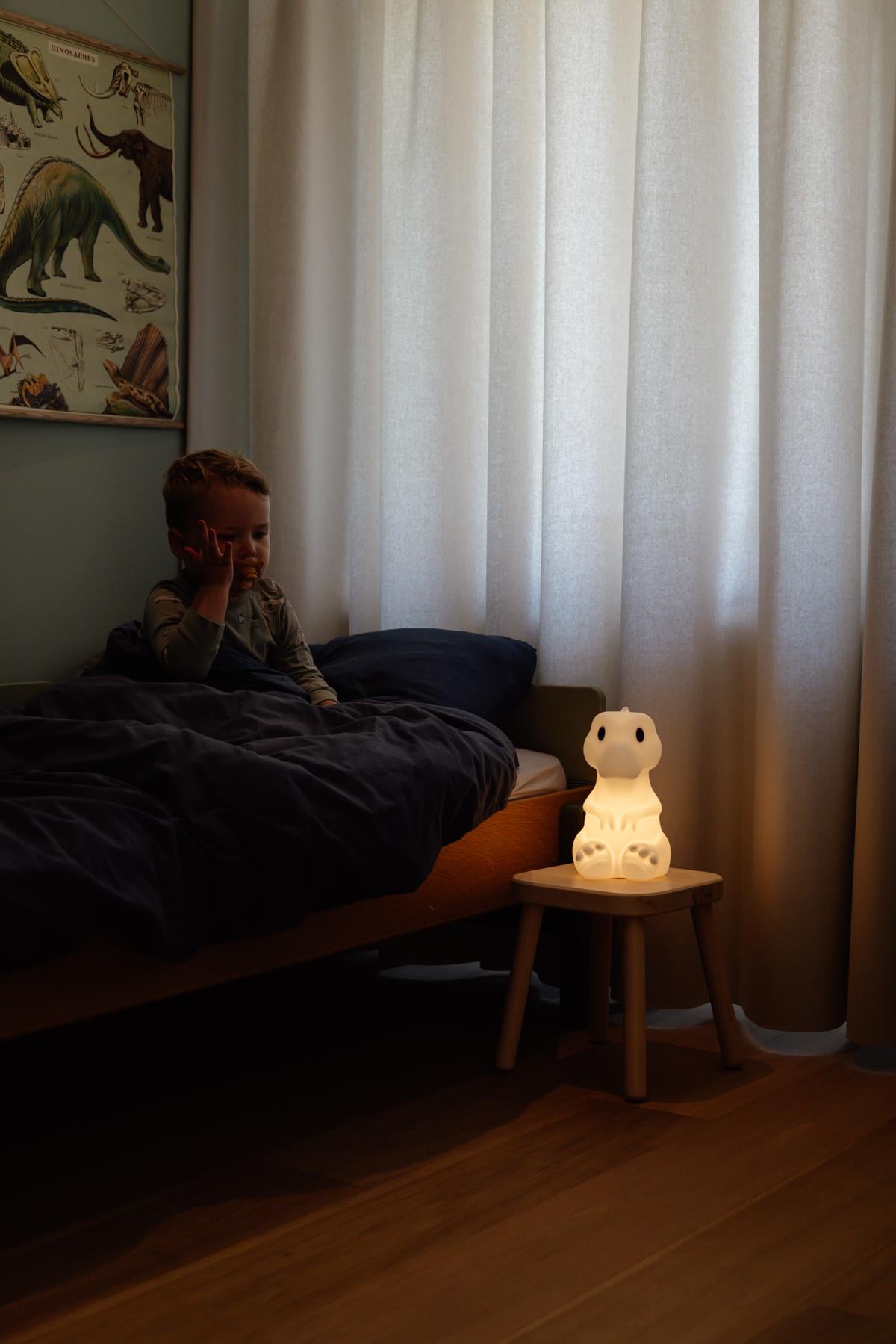 Rena Lamba First Light