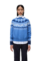 Napapijri-D-Fiames Mavi Kadın Kazak-Kazak & Triko-5-Milagron.com