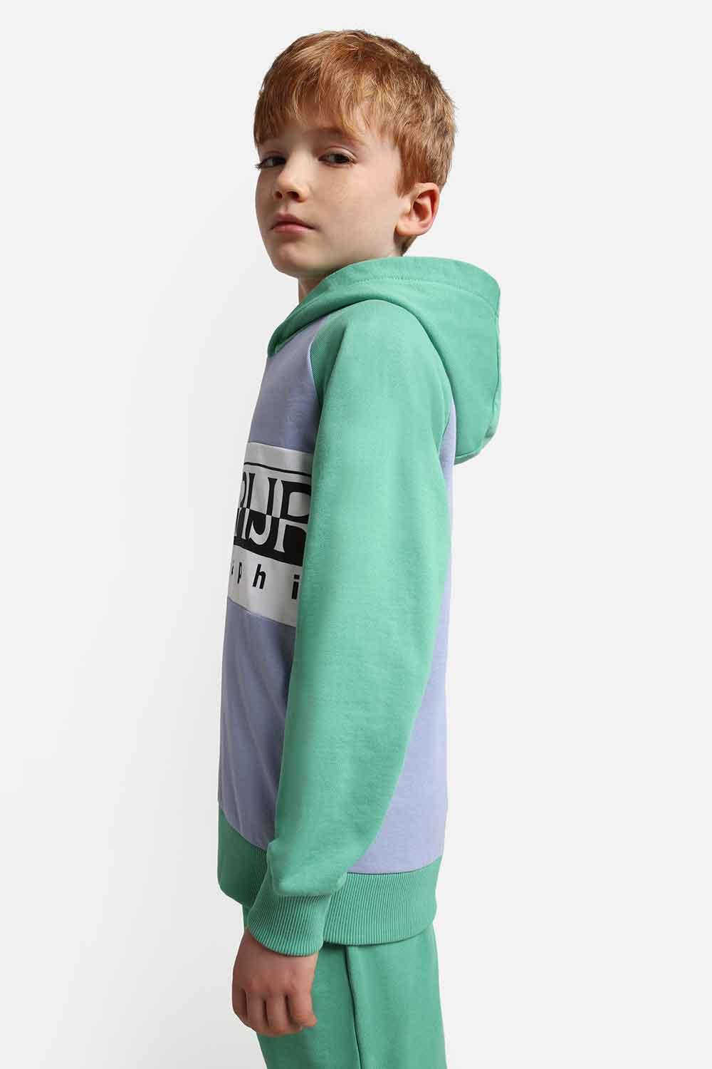 Napapijri Hoodie Entremonth Lavender Sweatshirts & Hoodies | Milagron