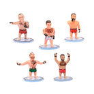 Pmi/Ufc2009