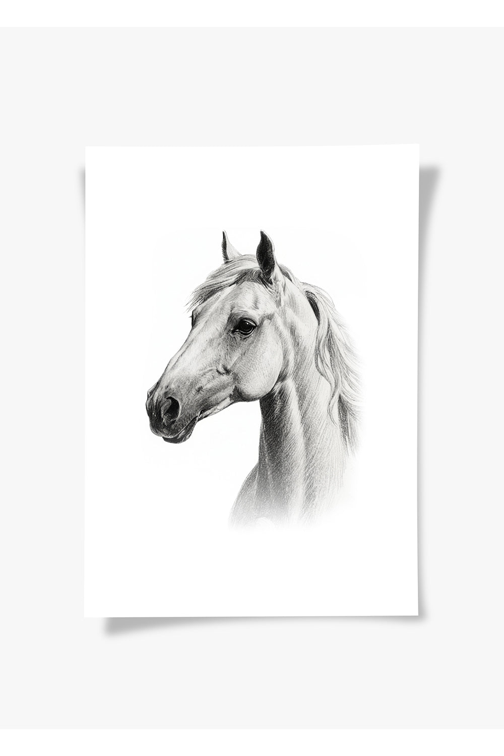 Karakalem Koleksiyonu At Posteri - 4