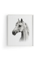 Karakalem Koleksiyonu At Posteri - 7