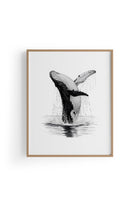 Karakalem Koleksiyonu Balina Posteri - 9