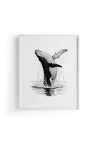 Karakalem Koleksiyonu Balina Posteri - 3