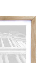 Karakalem Koleksiyonu Flamingo Posteri - 5