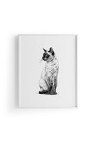 Karakalem Koleksiyonu Kedi Posteri - 2