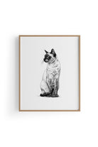 Karakalem Koleksiyonu Kedi Posteri - 3