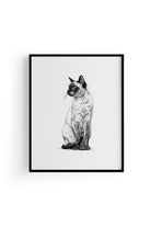 Karakalem Koleksiyonu Kedi Posteri - 6