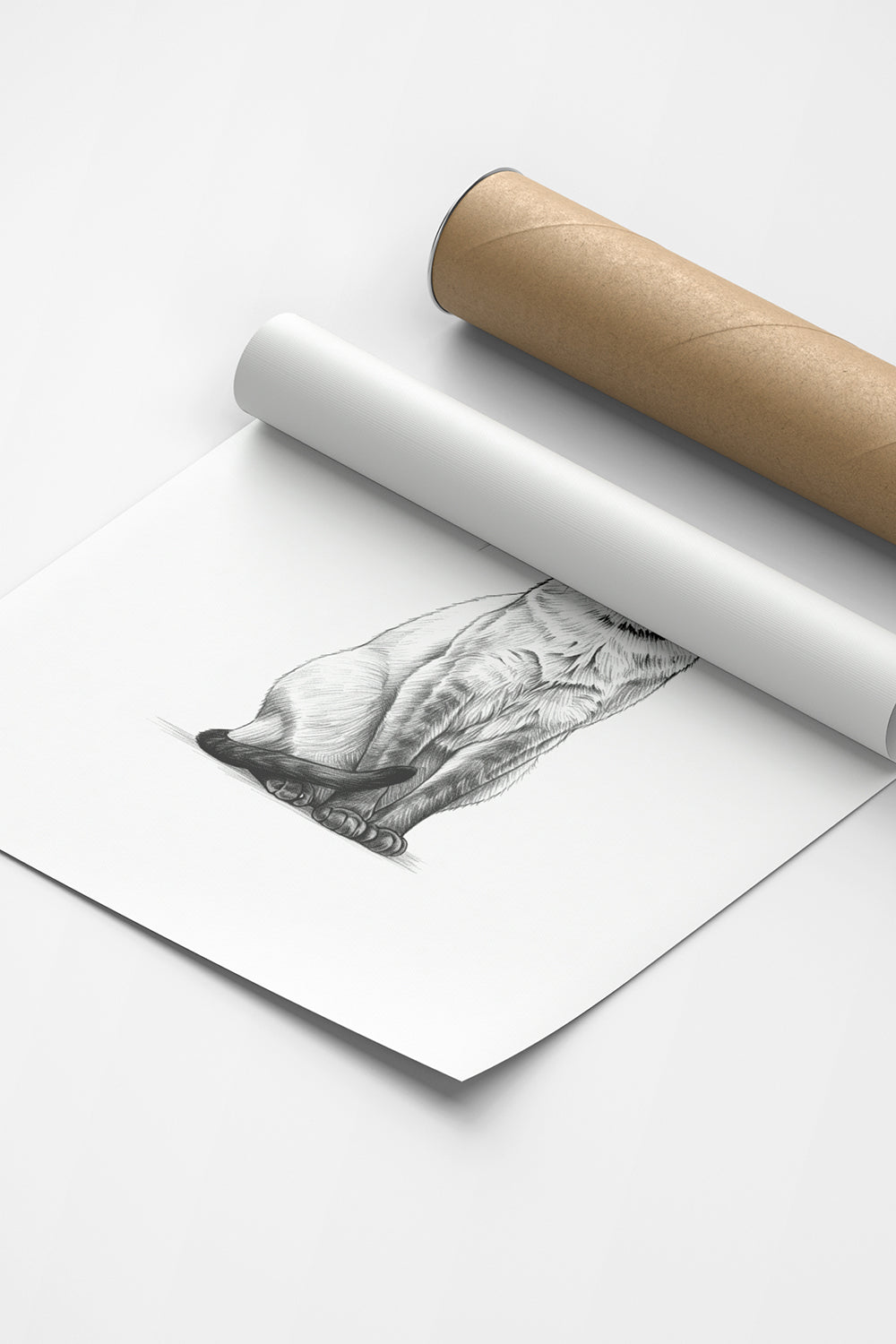 Karakalem Koleksiyonu Kedi Posteri - 8