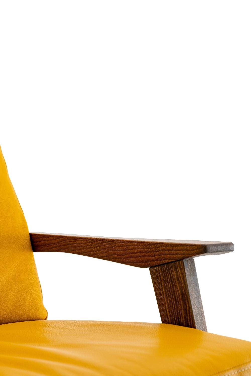 Ottodsg-Ionia Lounge Chair-Koltuk & Berjer-6-Milagron.com