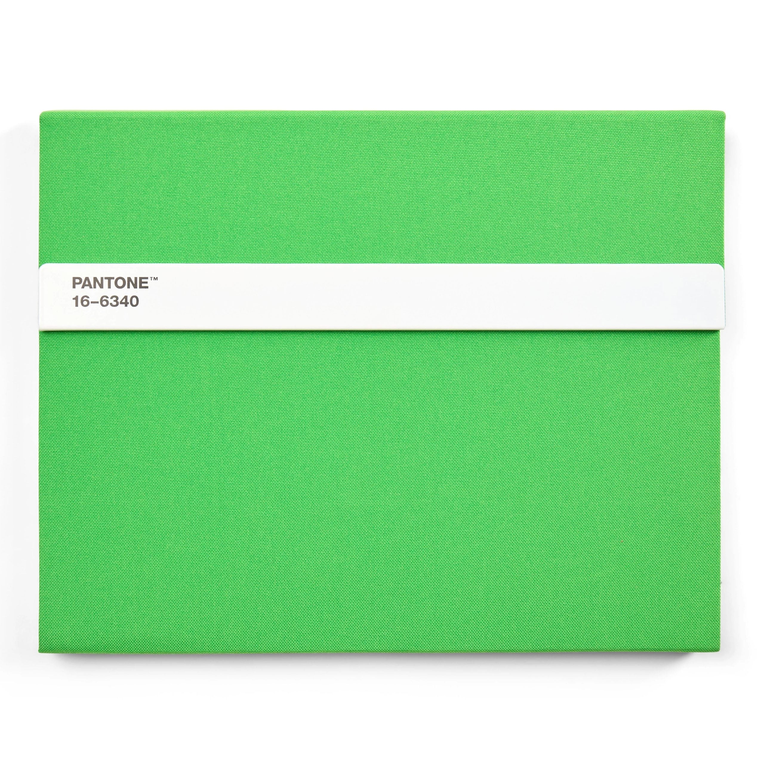 Pantone 16-6340 Yeşil Sert Kapaklı Çizgisiz Not Defteri Ve Kalem