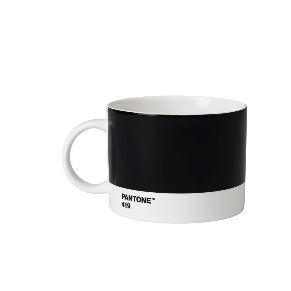 Pantone 419 Siyah Porselen Çay Fincanı