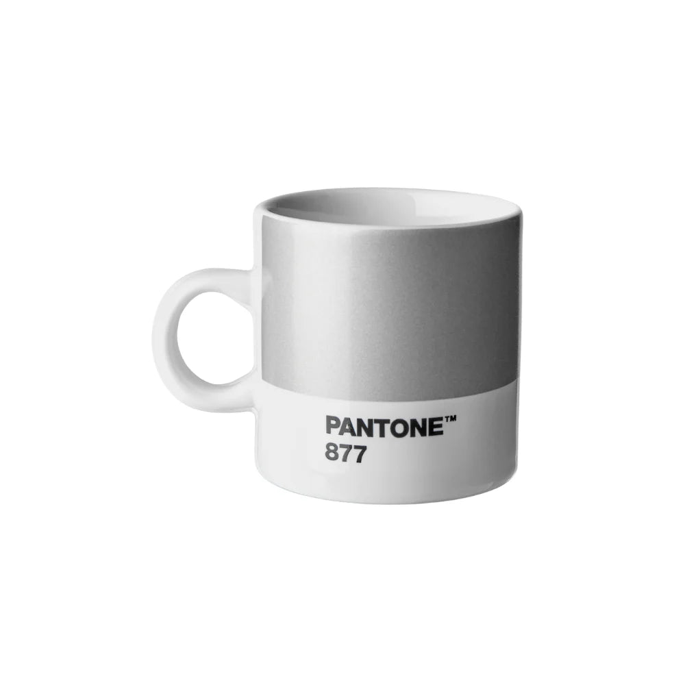Pantone 877 Açık Gri Espresso Fincanı