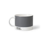 Pantone Cool Gray 9 Gri Porselen Çay Fincanı