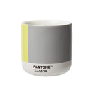 Pantone 17-5104, 13-0647 C21 Sarı - Gri Cortado Mug + Hediye Kutusu