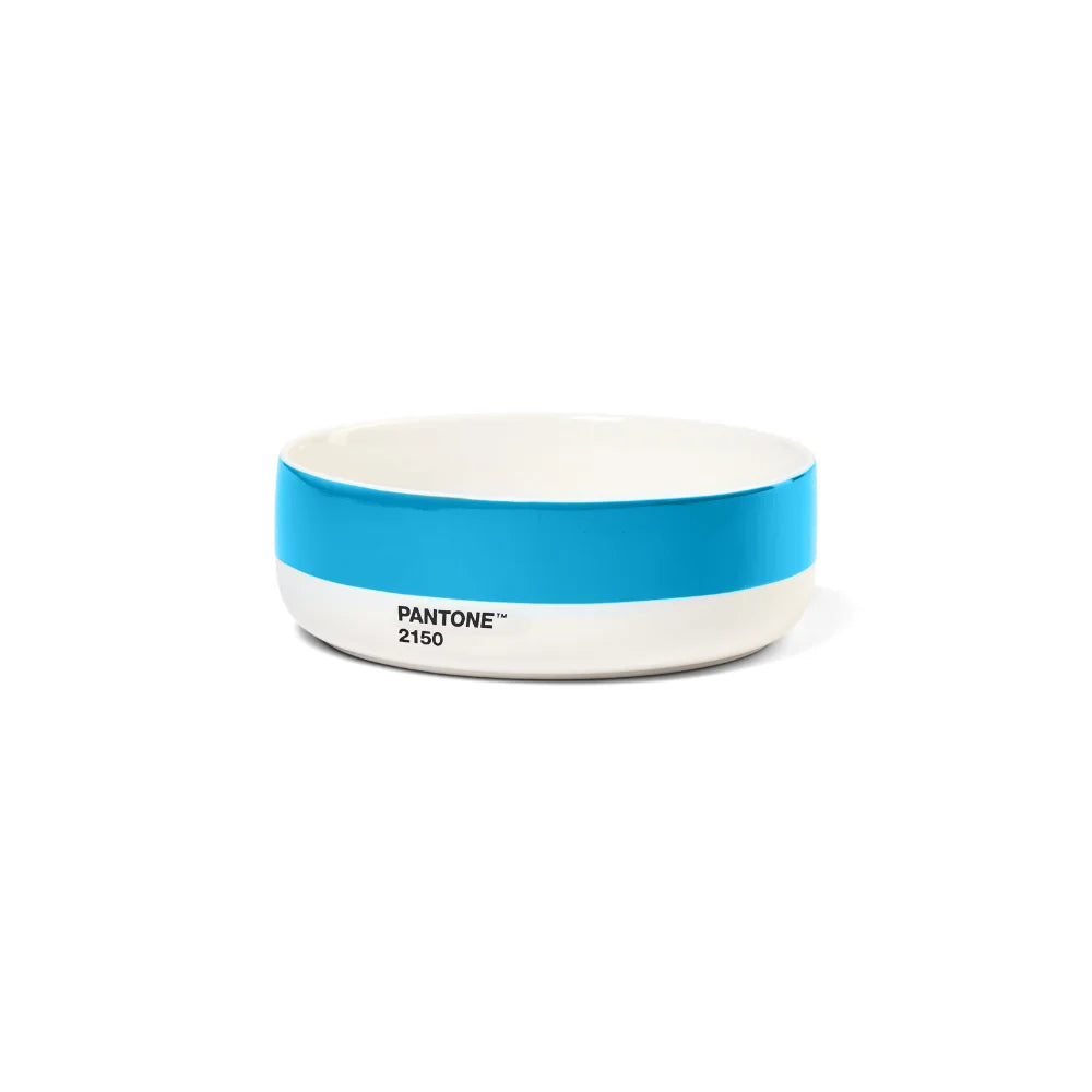 Pantone 2150 Mavi Porselen Kase