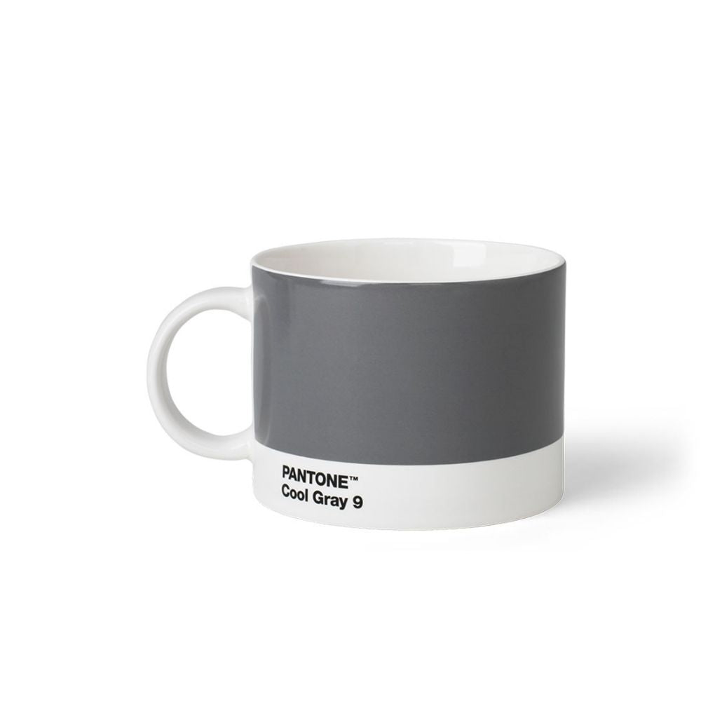 Pantone Cool Gray 9 Gri Porselen Çay Fincanı