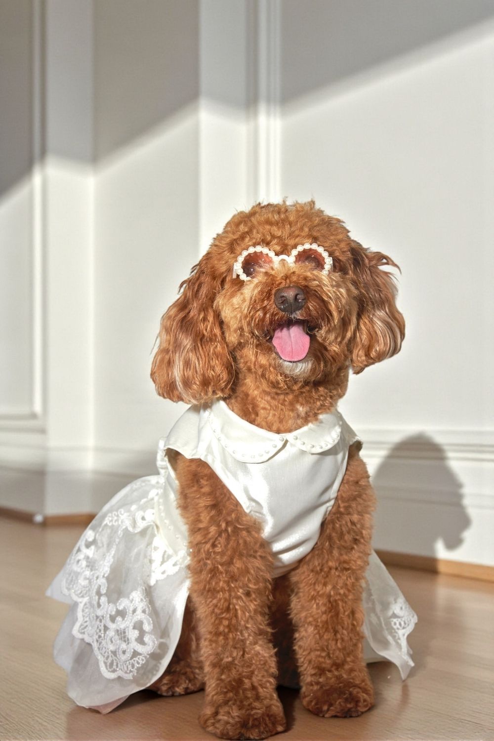 İnci Detay Köpek Gelinliği - 0