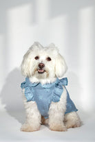 Müslin Nakış Detay Köpek Kıyafeti - 0