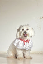 Pötikare Detaylı Köpek Vintage Fular / Yakalık - 0