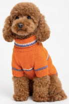 Premium Turuncu Örgü Köpek Kazağı - 0