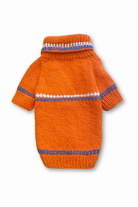 Premium Turuncu Örgü Köpek Kazağı - 1